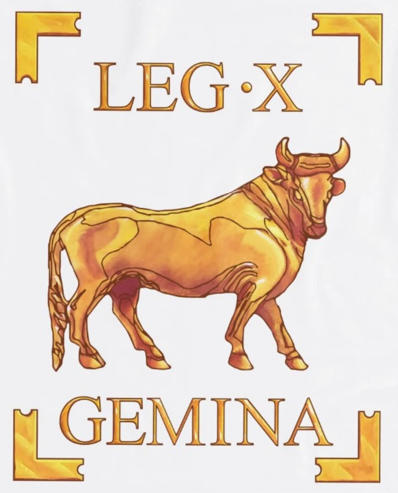 Moletom Legio X Gemina – Símbolo Histórico da Roma Antiga